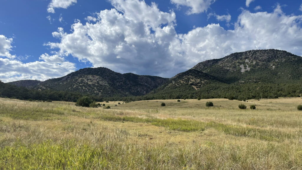 Adventure Acres Land – A Place in the Making