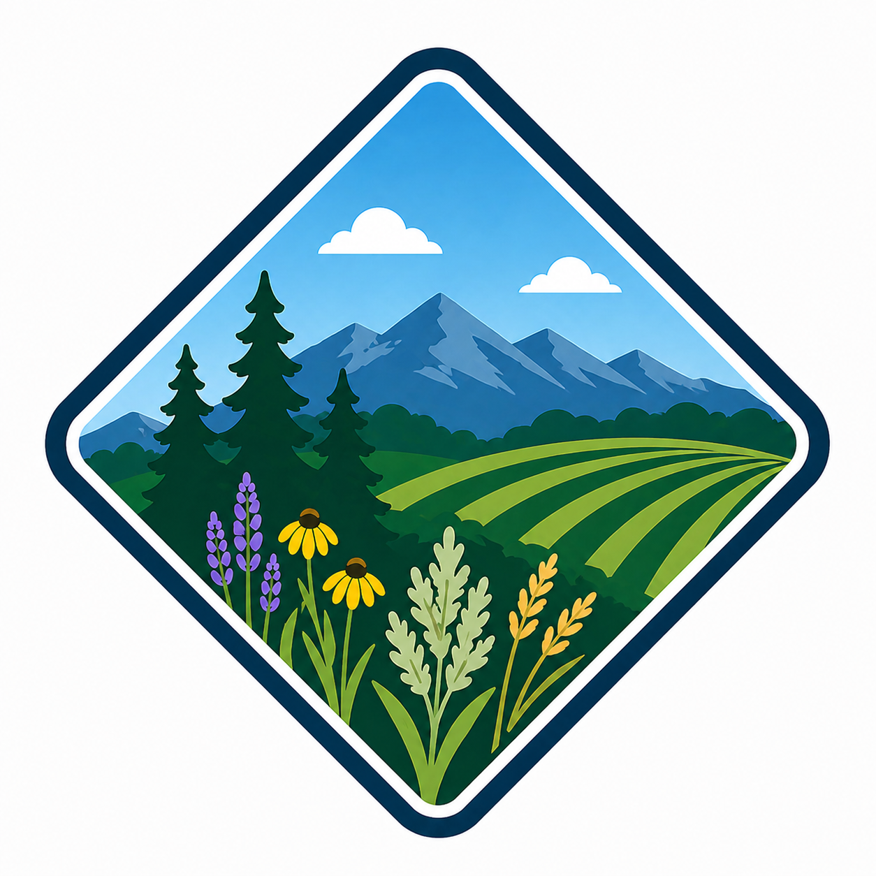 Land-based project rooted in stewardship, education, and community